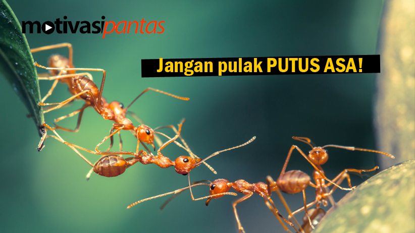 jangan-putus-asa
